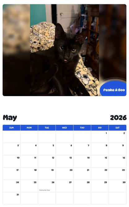 2026 - 2027 Peake A Boo - Pawidols Pet Calendar