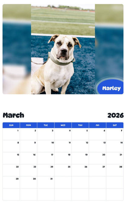 November 2025 - October 2026 Marley - Pawidols Pet Calendar