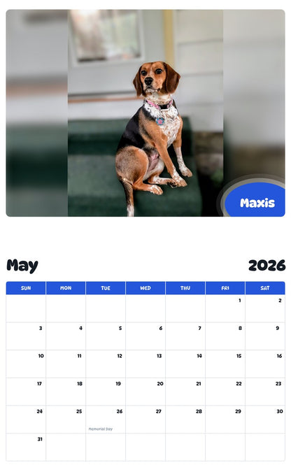 2026 - 2027 Maxis - Pawidols Pet Calendar