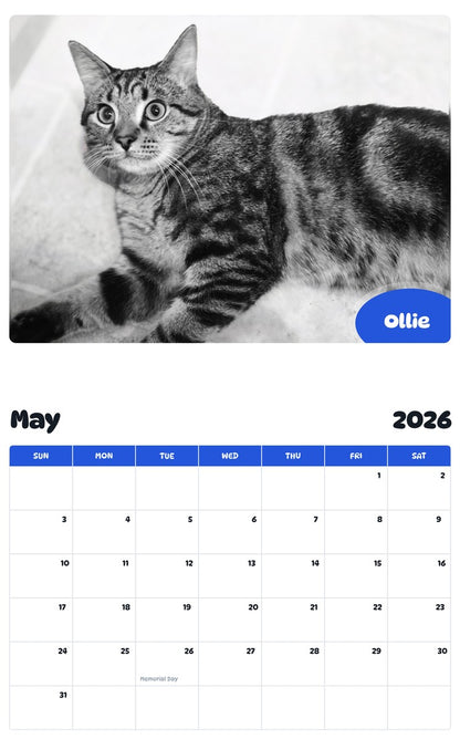 2026 - 2027 Ollie - Pawidols Pet Calendar