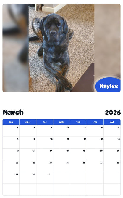 November 2025 - October 2026 Maylee - Pawidols Pet Calendar