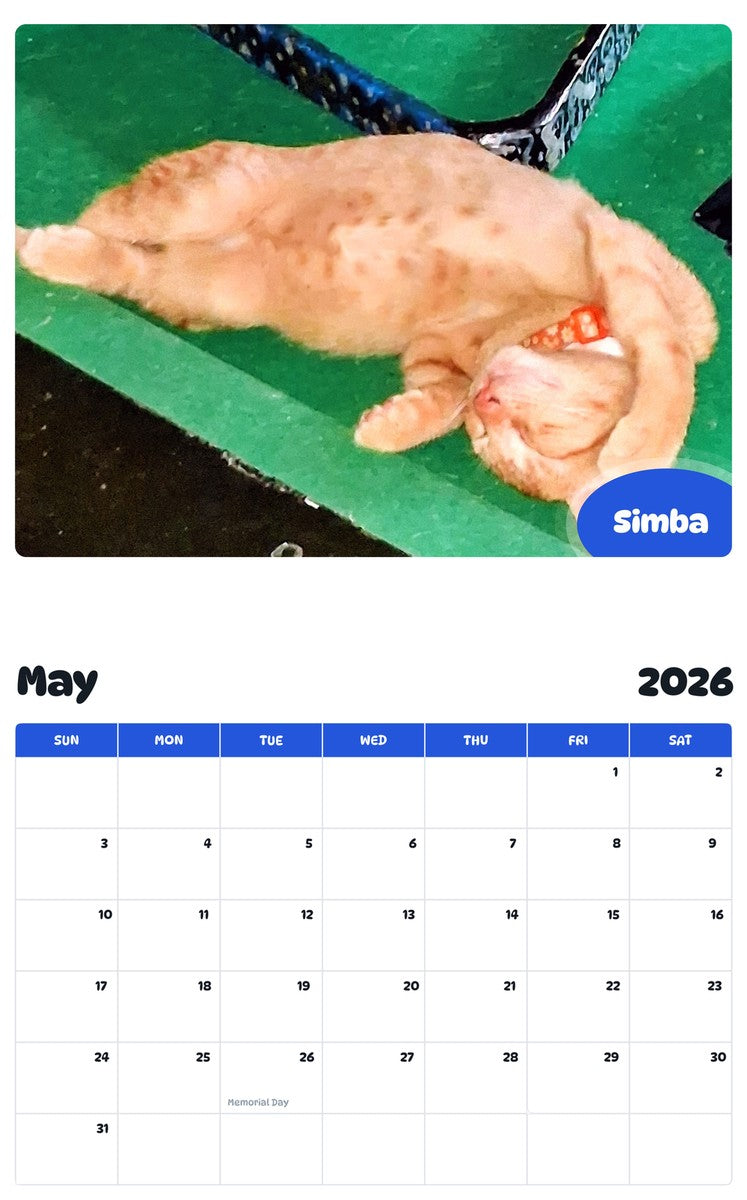 2026 - 2027 Simba - Pawidols Pet Calendar