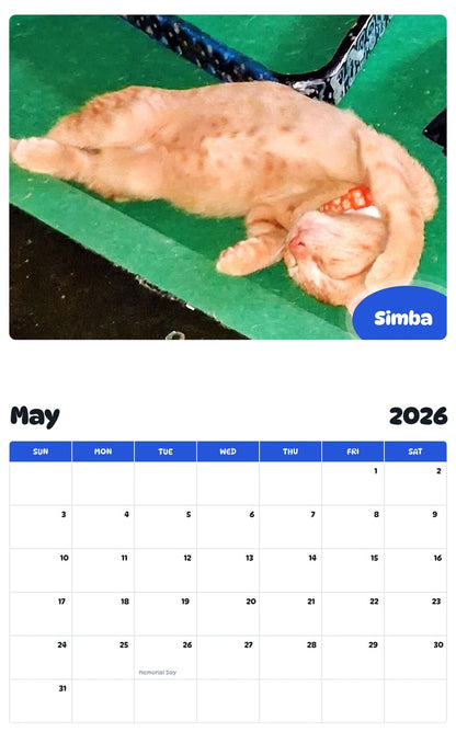 2026 - 2027 Simba - Pawidols Pet Calendar