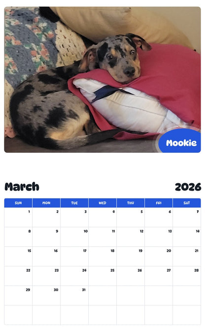 November 2025 - October 2026 Mookie - Pawidols Pet Calendar