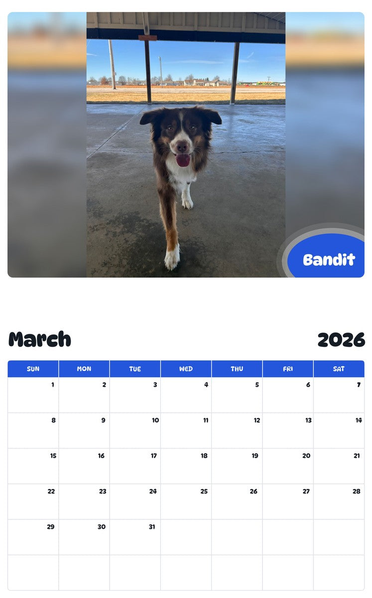 November 2025 - October 2026 Bandit - Pawidols Pet Calendar