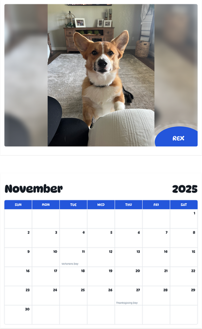 July 2025 - June 2026 Rex - Pawidols Pet Calendar