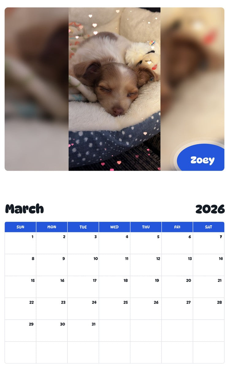 November 2025 - October 2026 Zoey - Pawidols Pet Calendar