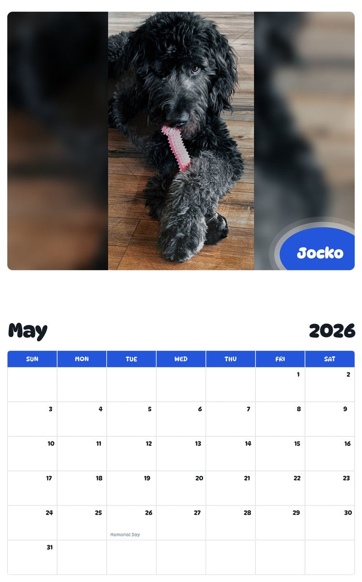 2026 - 2027 Jocko - Pawidols Pet Calendar
