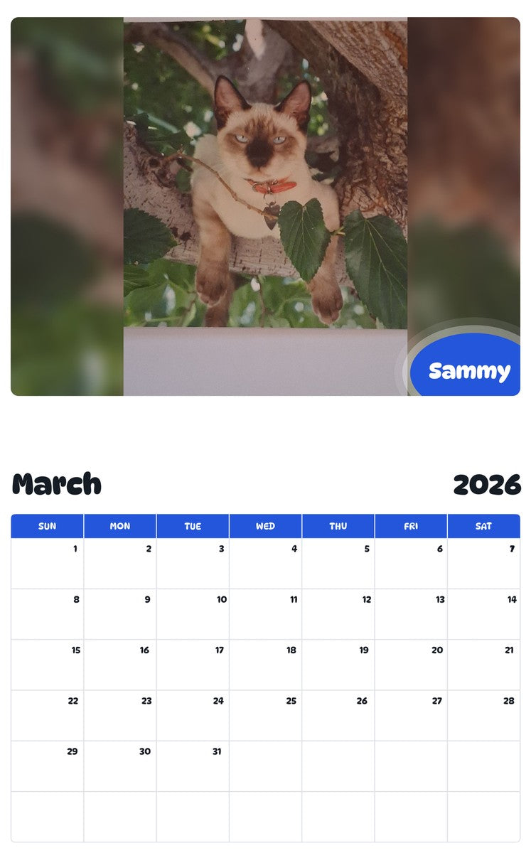 November 2025 - October 2026 Sammy - Pawidols Pet Calendar