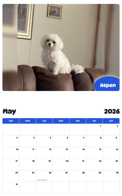 2026 - 2027 Aspen - Pawidols Pet Calendar