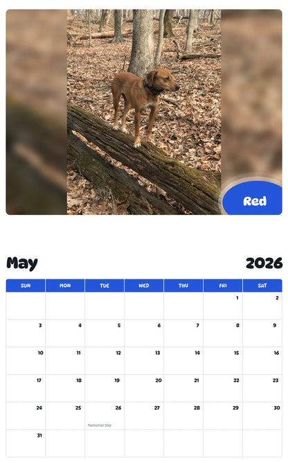 2026 - 2027 Red - Pawidols Pet Calendar