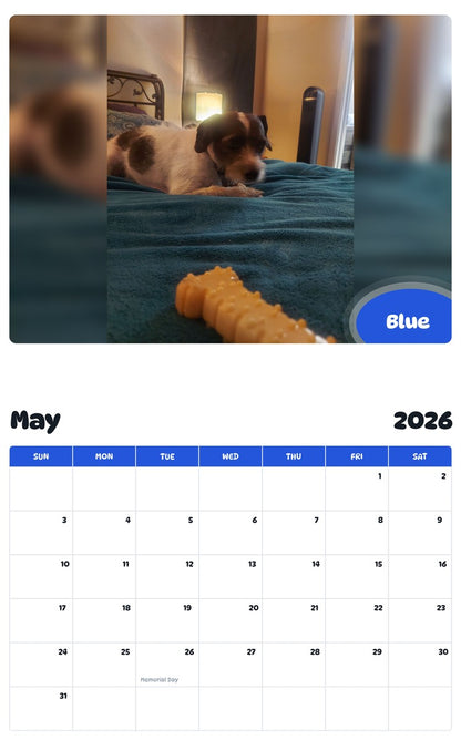2026 - 2027 Blue - Pawidols Pet Calendar
