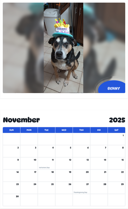 July 2025 - June 2026 Benny - Pawidols Pet Calendar