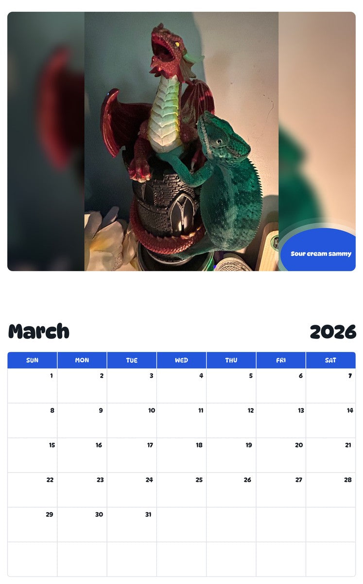 November 2025 - October 2026 Sour cream sammy - Pawidols Pet Calendar