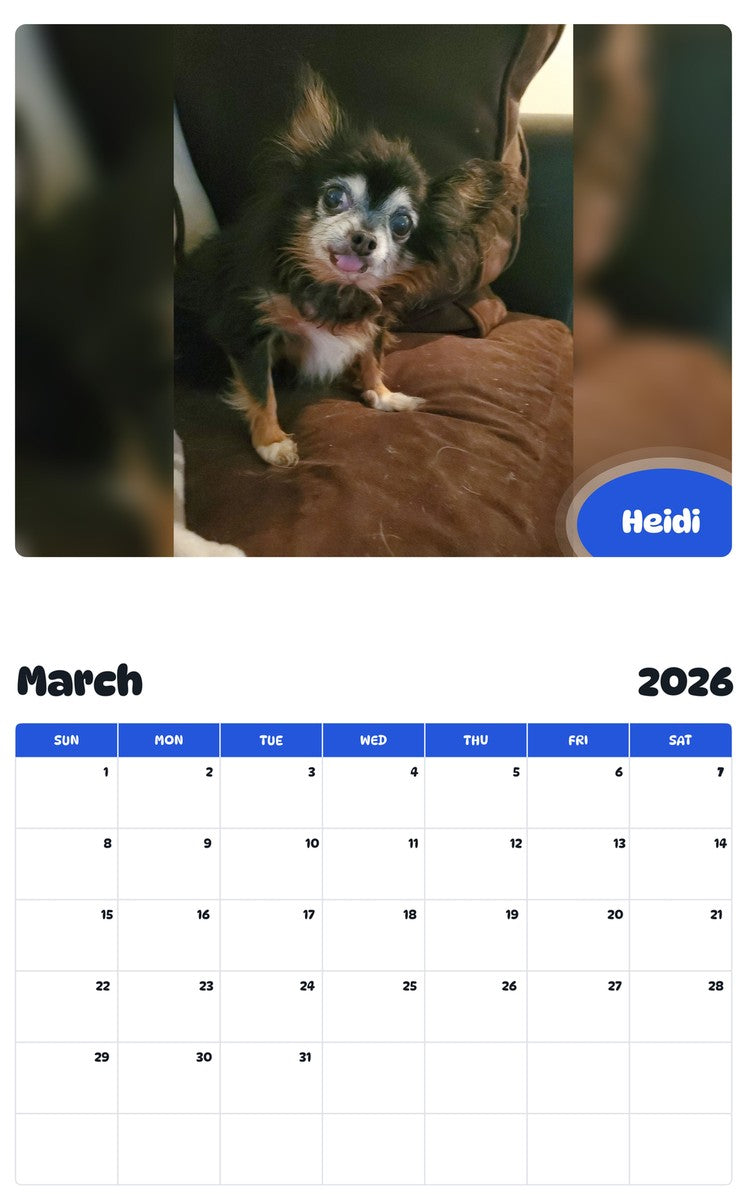 November 2025 - October 2026 Heidi - Pawidols Pet Calendar
