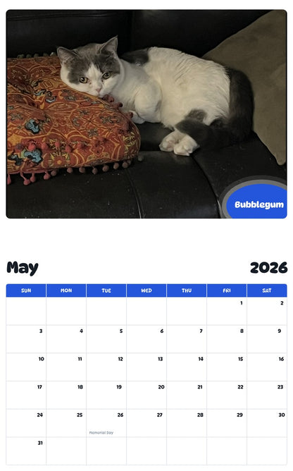 2026 - 2027 Bubblegum - Pawidols Pet Calendar
