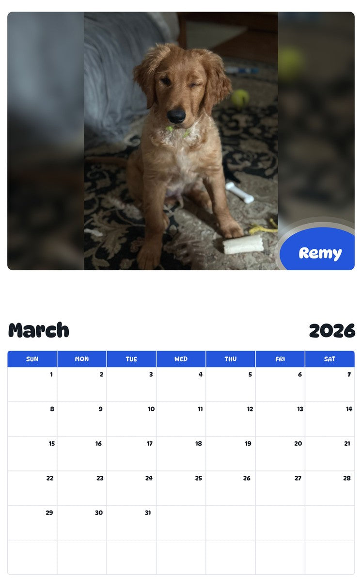 November 2025 - October 2026 Remy - Pawidols Pet Calendar