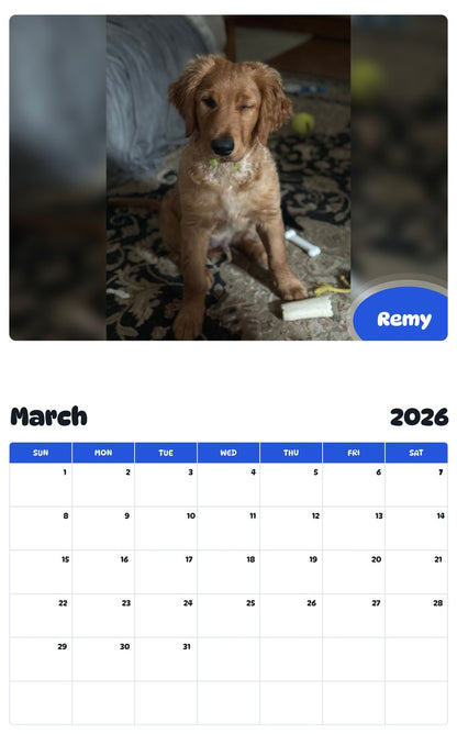 November 2025 - October 2026 Remy - Pawidols Pet Calendar