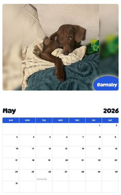2026 - 2027 Barnaby - Pawidols Pet Calendar