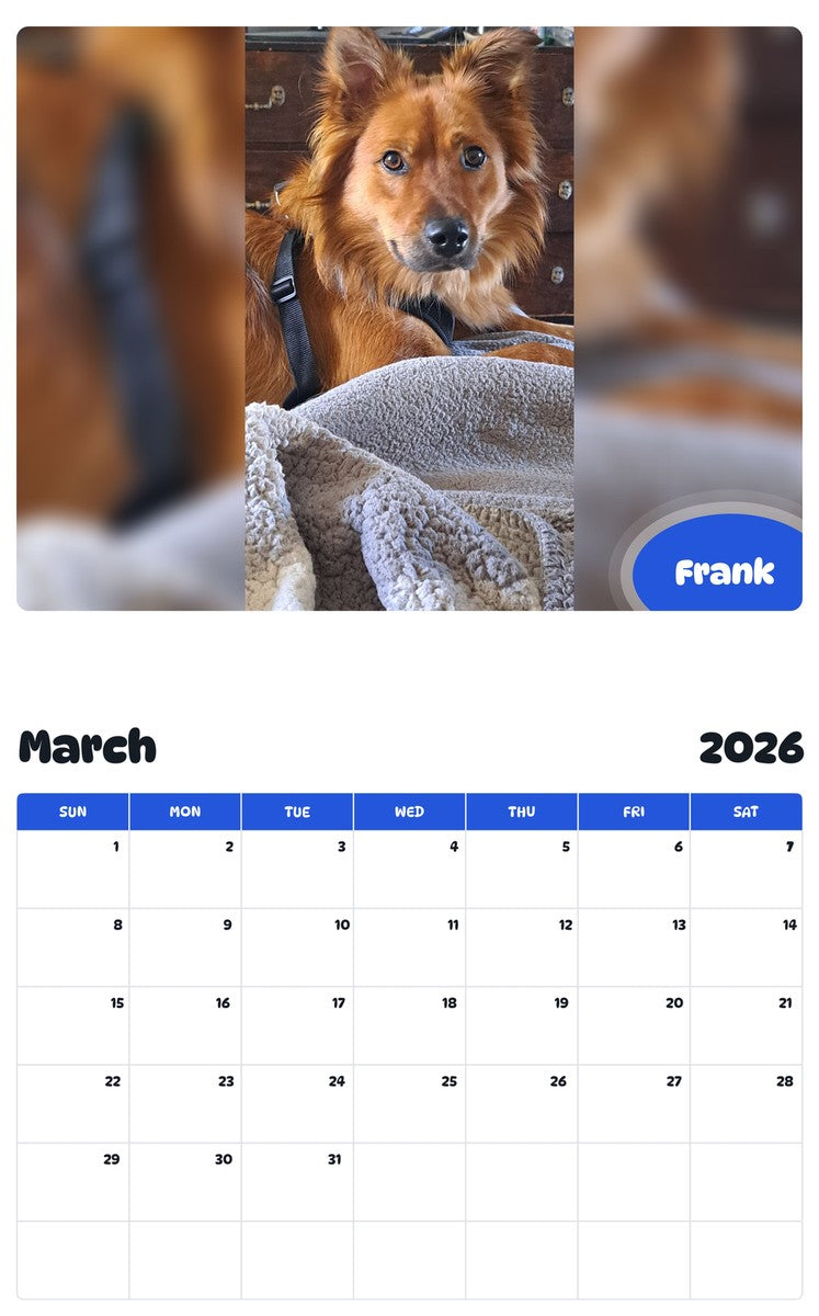 November 2025 - October 2026 Frank - Pawidols Pet Calendar