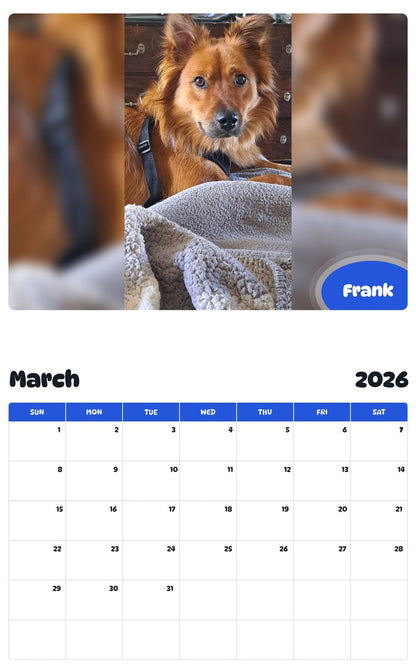 November 2025 - October 2026 Frank - Pawidols Pet Calendar