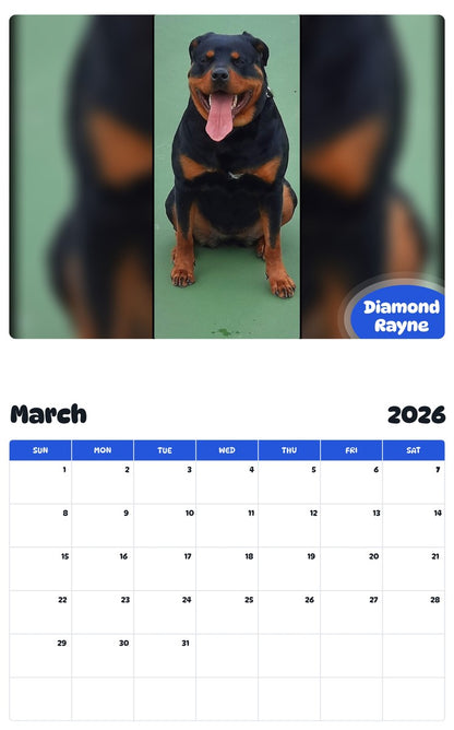 November 2025 - October 2026 Diamond Rayne - Pawidols Pet Calendar