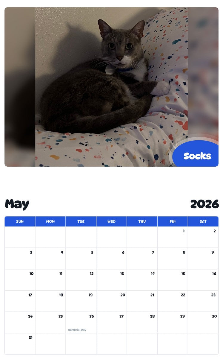 2026 - 2027 Socks - Pawidols Pet Calendar
