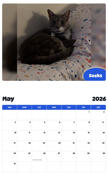 2026 - 2027 Socks - Pawidols Pet Calendar