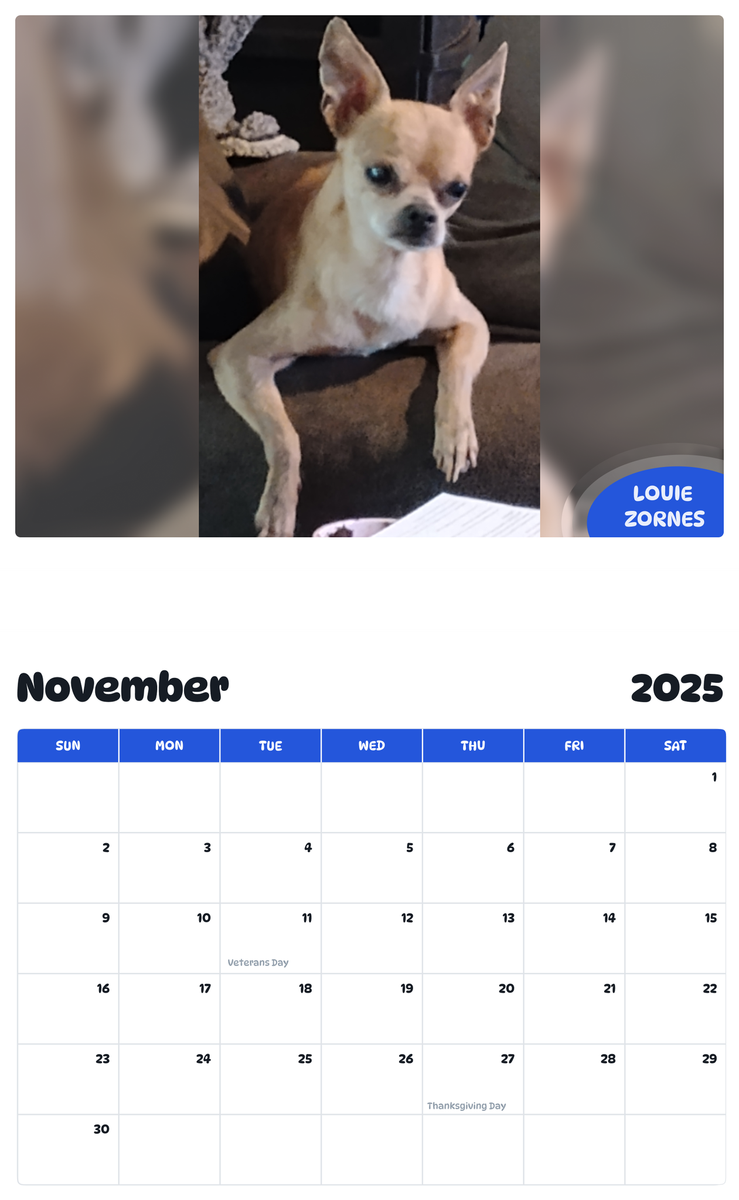 July 2025 - June 2026 Louie zornes - Pawidols Pet Calendar