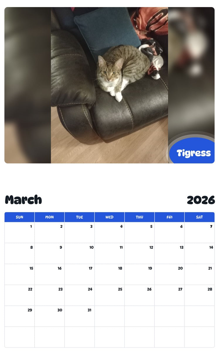 November 2025 - October 2026 Tigress - Pawidols Pet Calendar
