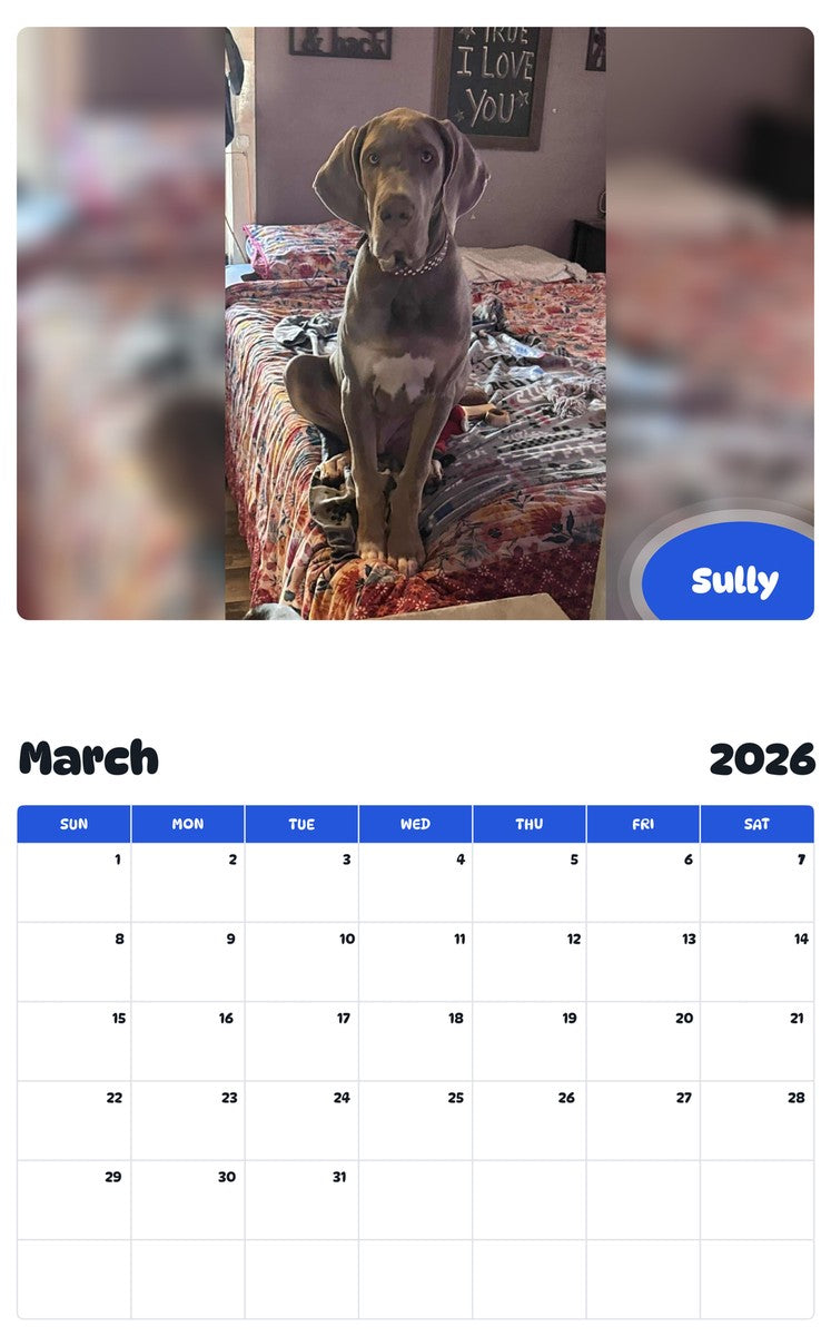 November 2025 - October 2026 Sully - Pawidols Pet Calendar