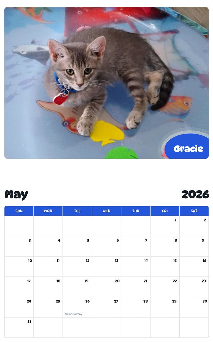 2026 - 2027 Gracie - Pawidols Pet Calendar