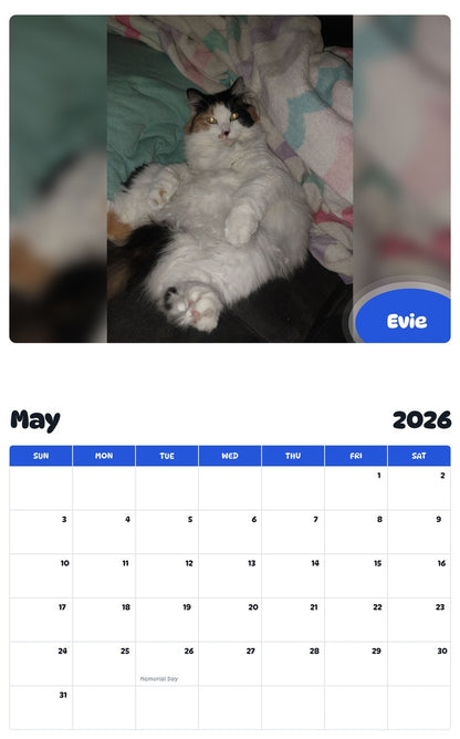 2026 - 2027 Evie - Pawidols Pet Calendar