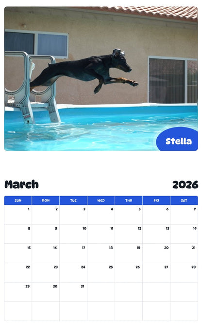 November 2025 - October 2026 Stella - Pawidols Pet Calendar