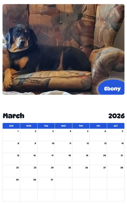 November 2025 - October 2026 Ebony - Pawidols Pet Calendar