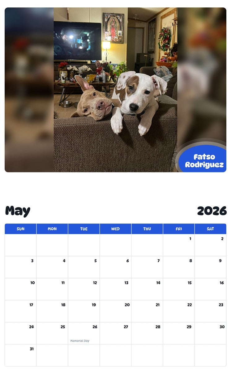 2026 - 2027 Fatso Rodriguez - Pawidols Pet Calendar