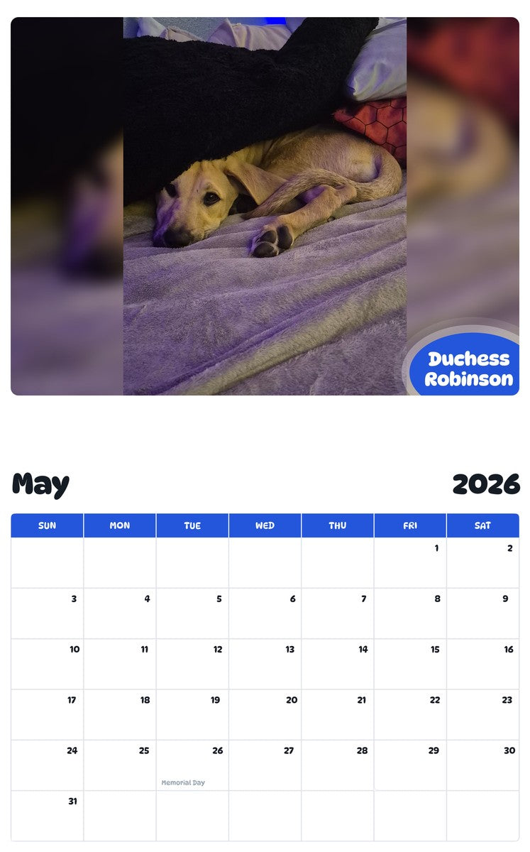 2026 - 2027 Duchess Robinson - Pawidols Pet Calendar