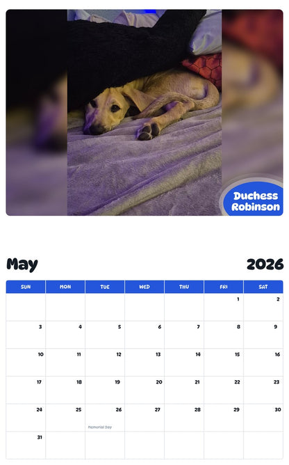 2026 - 2027 Duchess Robinson - Pawidols Pet Calendar