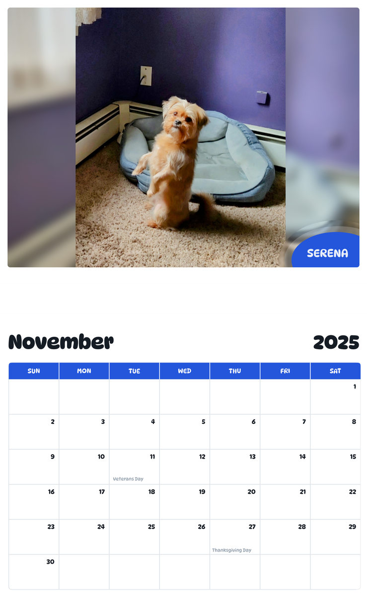July 2025 - June 2026 Serena - Pawidols Pet Calendar