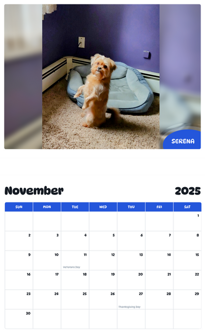 July 2025 - June 2026 Serena - Pawidols Pet Calendar