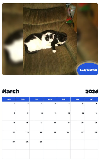 November 2025 - October 2026 Lucy & Ethel - Pawidols Pet Calendar