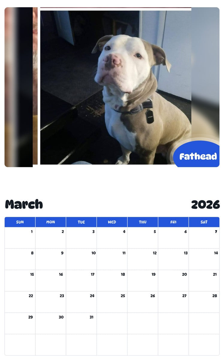 November 2025 - October 2026 Fathead - Pawidols Pet Calendar