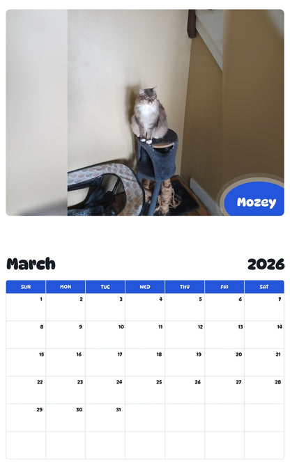 November 2025 - October 2026 Mozey - Pawidols Pet Calendar