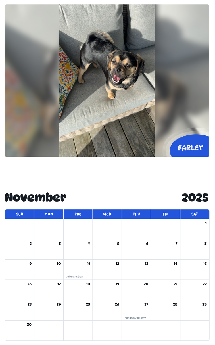 July 2025 - June 2026 Farley - Pawidols Pet Calendar
