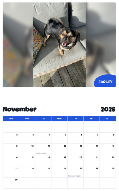 July 2025 - June 2026 Farley - Pawidols Pet Calendar