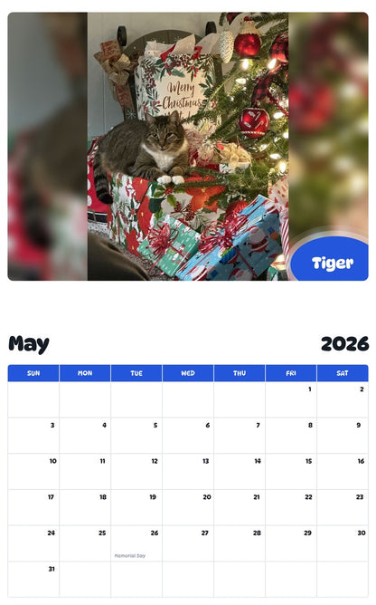 2026 - 2027 Tiger - Pawidols Pet Calendar