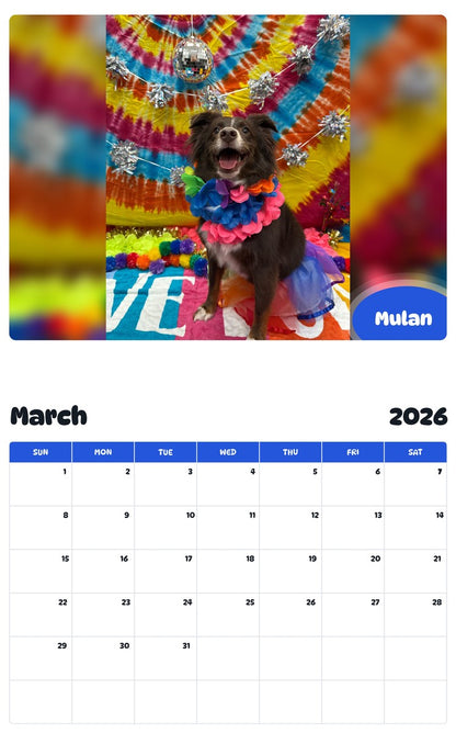 November 2025 - October 2026 Mulan - Pawidols Pet Calendar