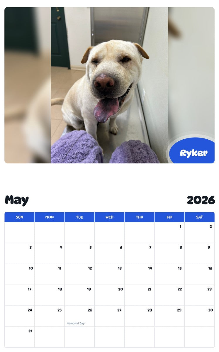 2026 - 2027 Ryker - Pawidols Pet Calendar