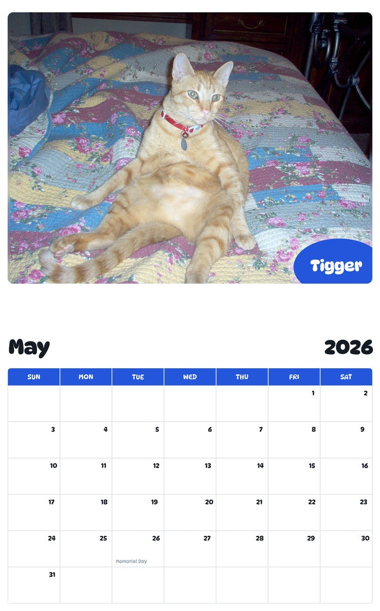 2026 - 2027 Tigger - Pawidols Pet Calendar