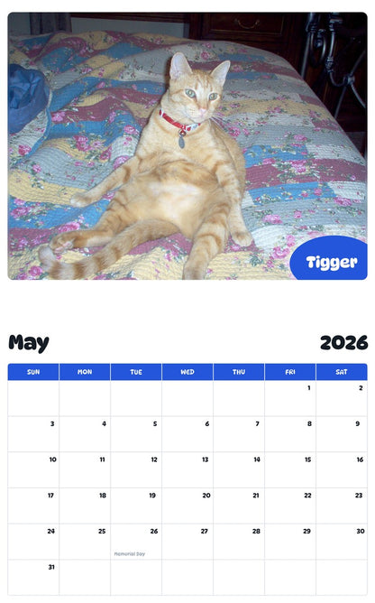 2026 - 2027 Tigger - Pawidols Pet Calendar
